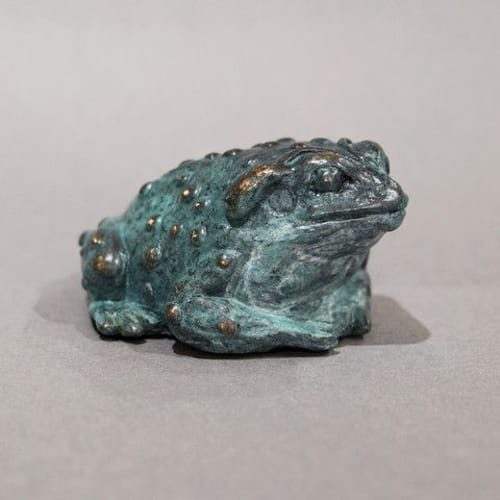 FL094 Colorado River Toad $300 at Hunter Wolff Gallery